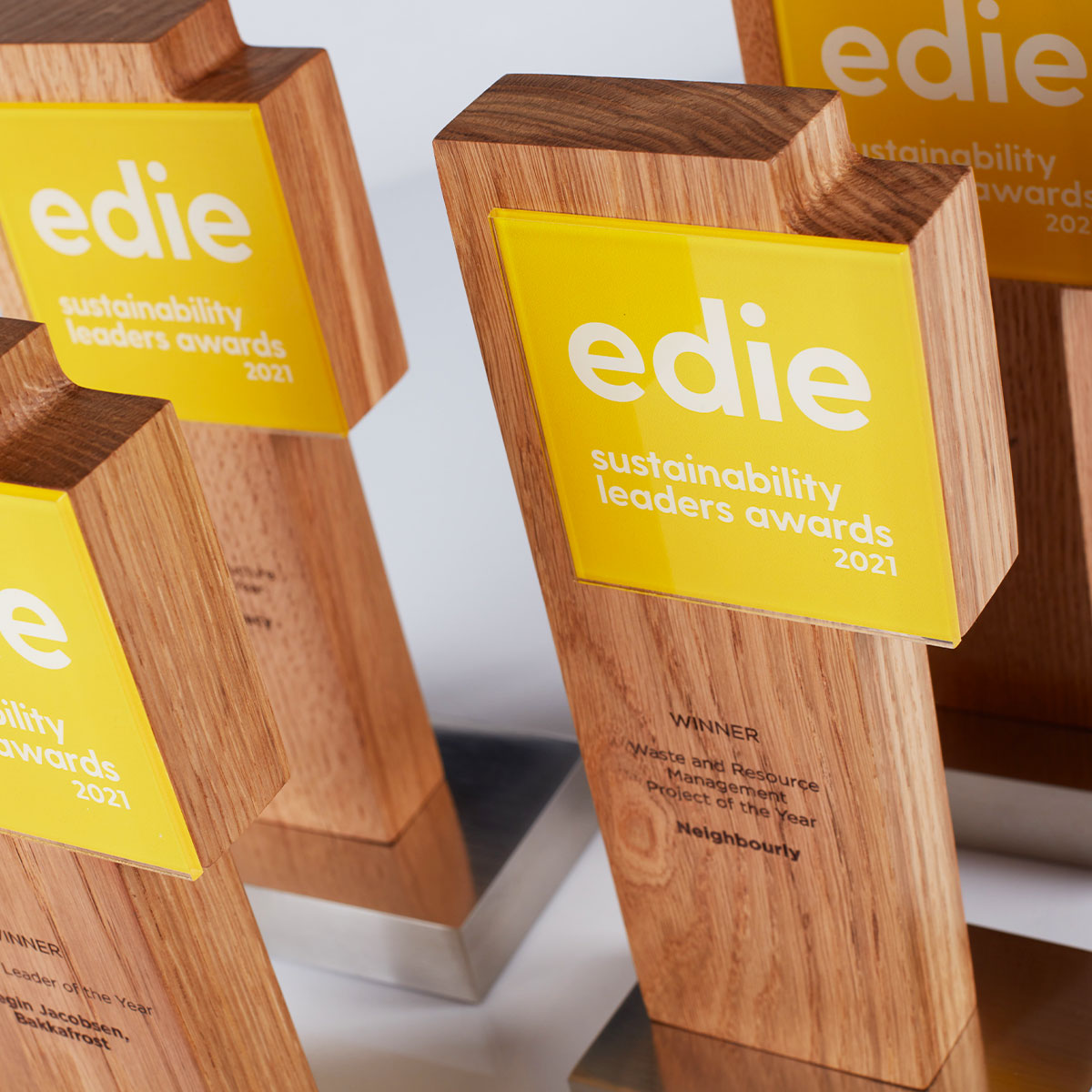 Edie Award EFX